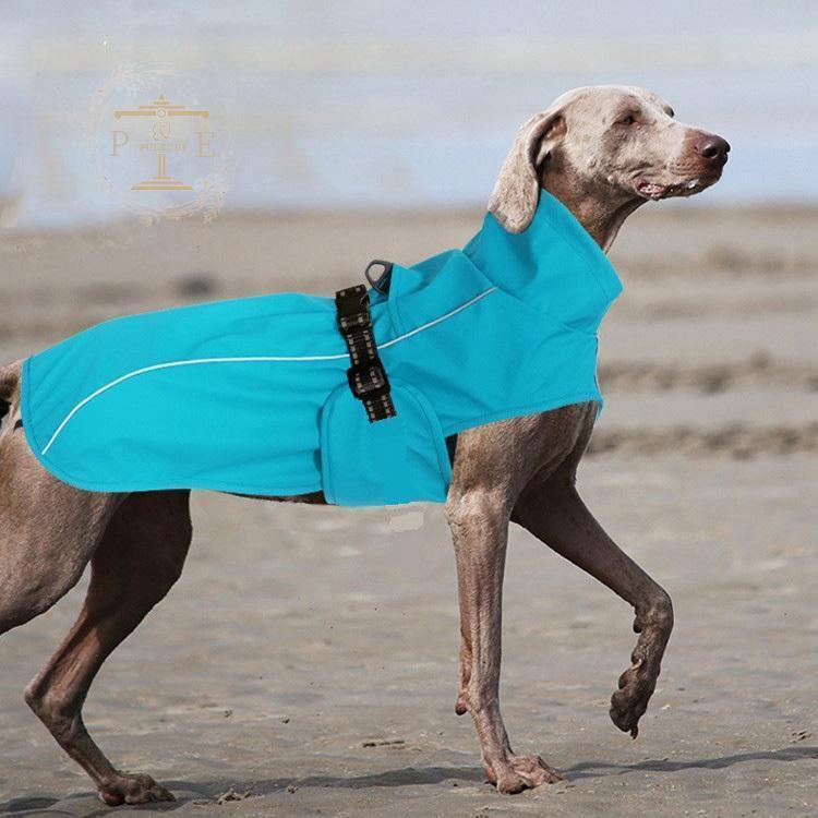 10枚セット 犬用 レインコート 中型犬 小型犬 雨具 犬服 ペットポンチョ 防水 ペットレイングッズ ドッグウエア 散歩 ドッグ 防雨 お出かけ ペット服