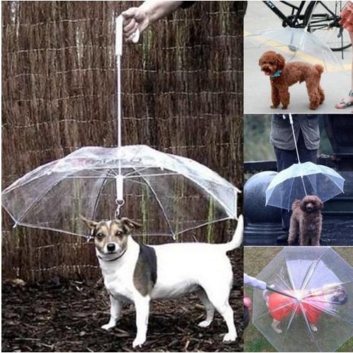 ペット用 傘 犬用 リード お出かけ アンブレラ 雨天でもお散歩アンブレラ 雨具