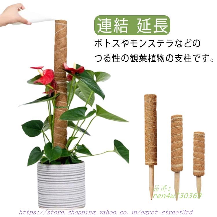 園芸支柱 ココスティック 3本セット 30CM 40CM 50CM ココナッツ支柱 モンステラ支柱 植物支柱 観葉支柱 ココナッツパームスティック コ